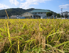 わくわくワーク