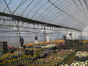 特定非営利活動法人　ドリーム・プラネット